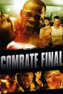 Poster do filme Combate Final