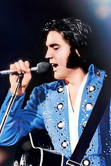 Elvis on Tour