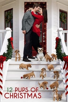 Poster do filme 12 Pups of Christmas