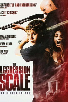 The Aggression Scale