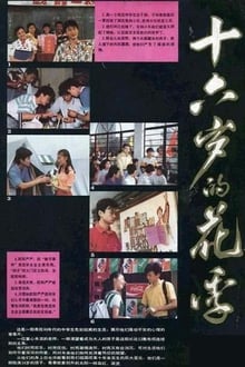 Poster da série 十六岁的花季