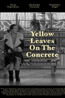 Yellow leaves on the concrete
