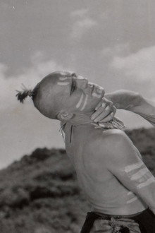 The Last of the Mohicans