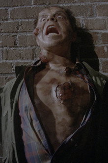 Scanner Cop II