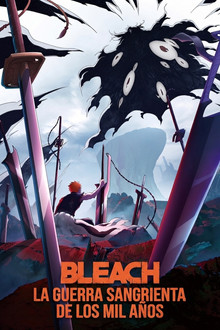 Bleach