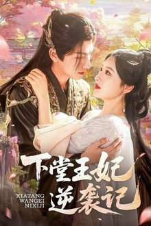 下堂王妃逆袭记