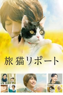 Imagem The Travelling Cat Chronicles 2018