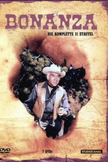 Staffel 11
