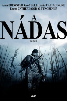 A nádas