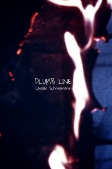 Poster do filme Plumb Line