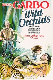 Wilde Orchideen