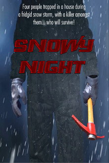 Snowy Night