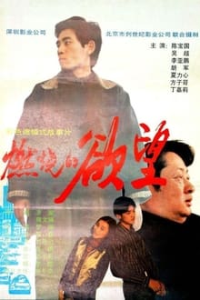 Poster do filme 燃烧的欲望