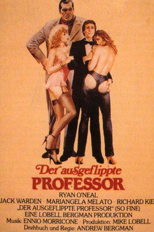 Der ausgeflippte Professor
