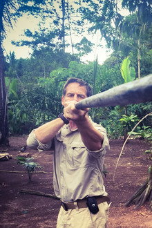 Fear Trip, Reporter de l'extrême