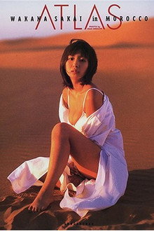 酒井若菜 : ATLAS