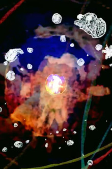 The Final Exit of the Disciples of Ascensia
