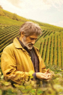 Wielkie wino