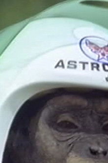 Daktari season 3 episode 1