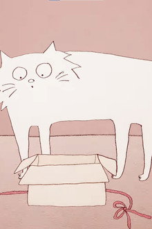 Why Do Cats Act So Weird?