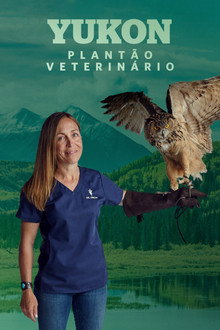 Temporada 11