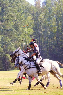 From Rodeo to Polo: The 1st HBCU Polo Team