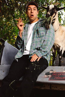 Adam Sandler: What the Hell Happened to Me?