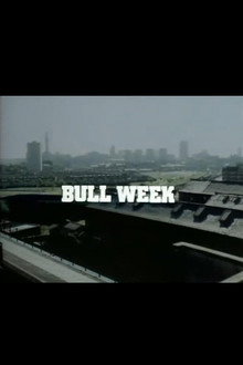 Bull Week