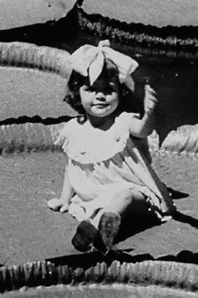 Victória Régia