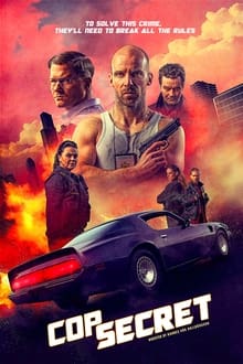 Poster do filme Leynilögga