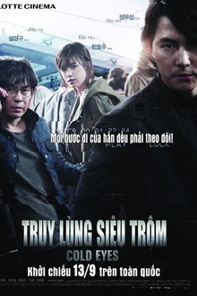 Truy Lùng Siêu Trộm