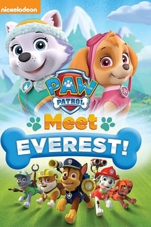 Paw Patrol: Meet Everest movie poster