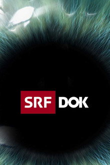 SRF DOK