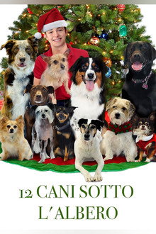 12 cani sotto l'albero