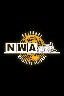 The Second Annual NWA Jim Crockett Sr. Memorial Cup Tag Team Tournament