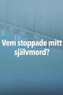 The Stranger on the Bridge