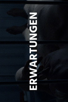 Erwartungen