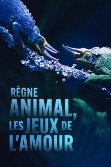Règne animal, les jeux de l'amour