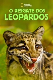 Poster do filme O Resgate dos Leopardos