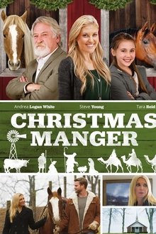 Christmas Manger Christmas Manger