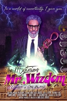 The Mysterious Mr. Wizdom