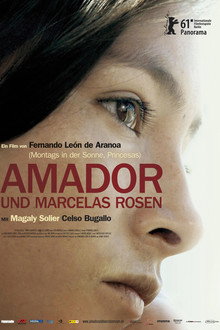 Amador und Marcelas Rosen