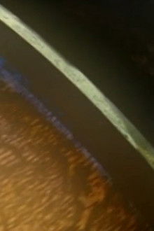 Great-Castles-of-Europe