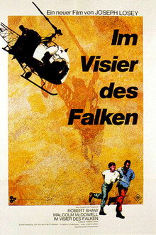 Im Visier des Falken