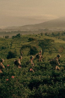 Peluru Senja