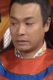 傻王闯天下