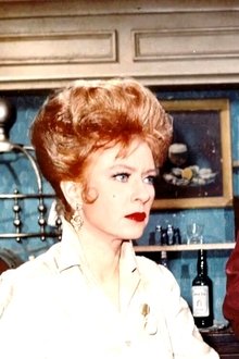 Gunsmoke Police Des Plaines