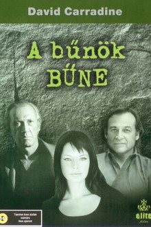 A bűnök bűne