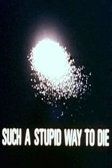 Poster do filme Such a Stupid Way to Die