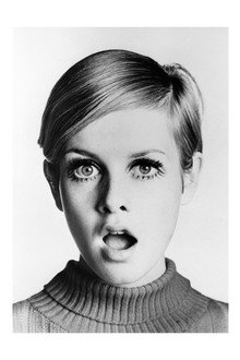 Go Go Go Said the Bird